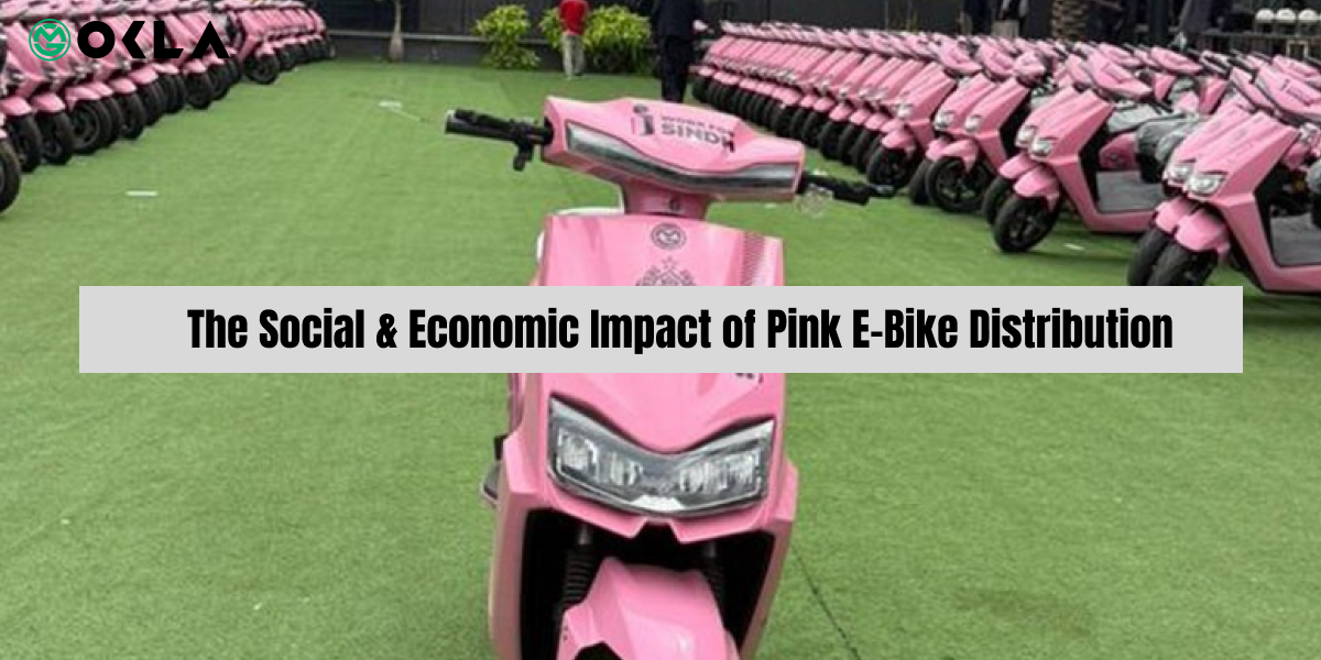 The Social and Economic Impacts of Pink e bike distribution